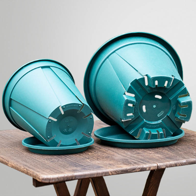 Potted plant molding