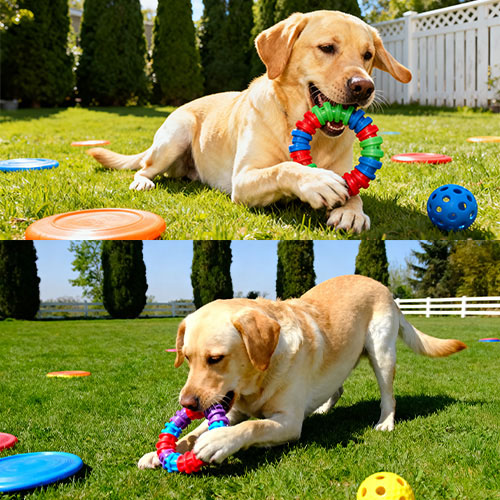 Sprøjtestøbeform til kæledyrs legetøj